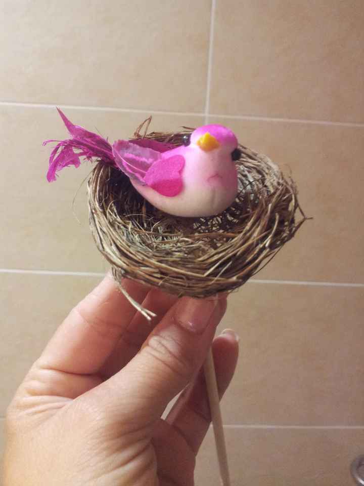 nido pajaro