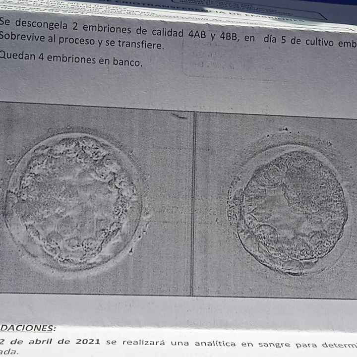 Proceso tratamiento fiv - 2