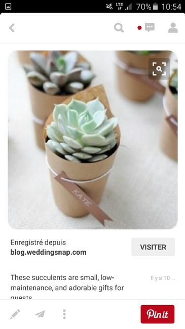 Cáctus o planta suculenta como detalle de boda?? - 1