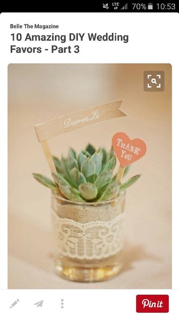Cáctus o planta suculenta como detalle de boda?? - 2