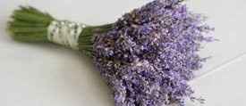 ramo morado