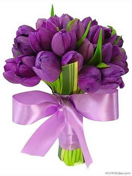 ramo morado