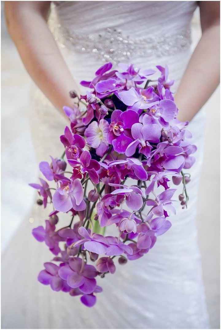 ramo morado