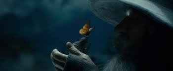 gandalf pide ayuda