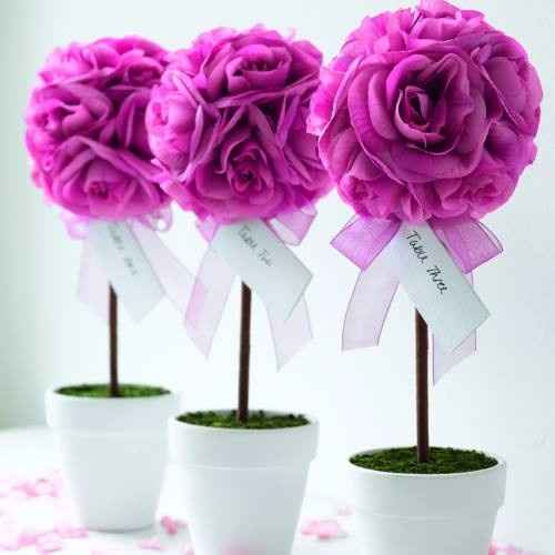 topiario flores