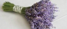 ramo morado