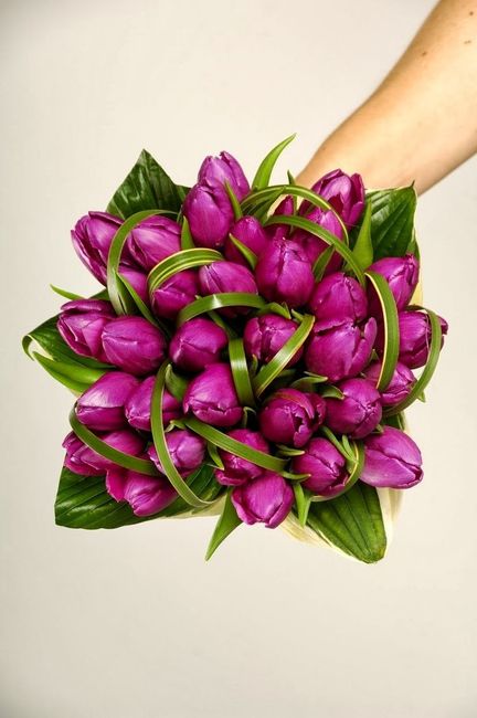 ramo morado