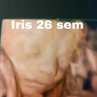 Mamás agosto 2015 - 2