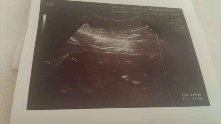 Mamis enero 2016 - 1