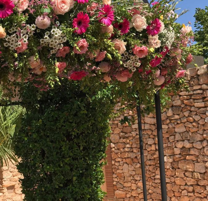 Color rosa 2