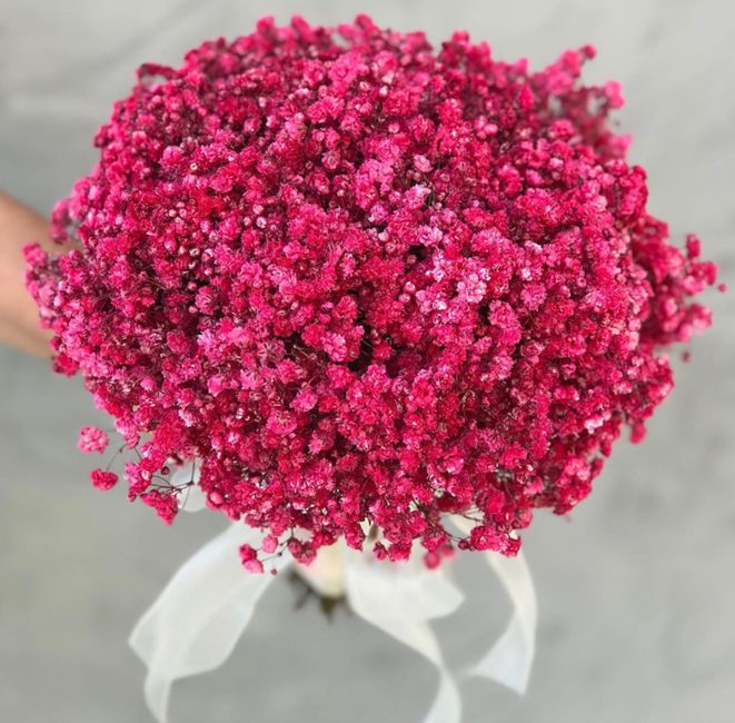 Color rosa 3