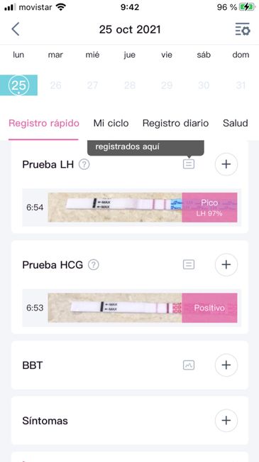 💚Buscadoras Octubre 2021 💚 3
