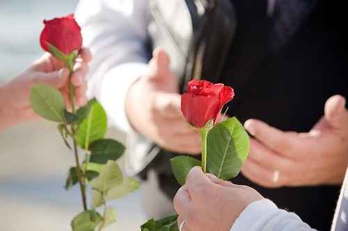 CEREMONIA DE LAS ROSAS