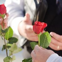 CEREMONIA DE LAS ROSAS