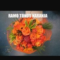 Ayuda con mi ramo.... - 1