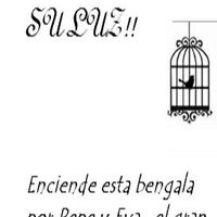 plantilla