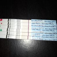 Buscadoras más de 1 año - 2022 - 1