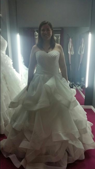 Ya tengo mi vestido! - 2