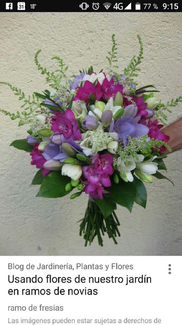 Flores moradas - 3