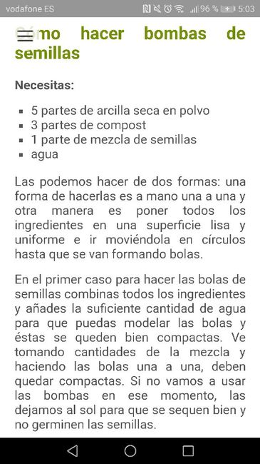 bombas de semilla para regalar a invitados - 1