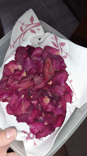 Secar pétalos de rosa 🌹 4