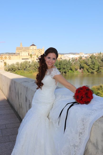 el vestido - 2