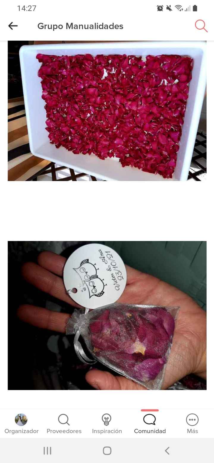 ¿Cuanto tiempo aguantan los pétalos de Rosa? - 1