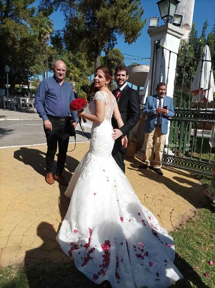 Duda con pétalos de rosa - 1
