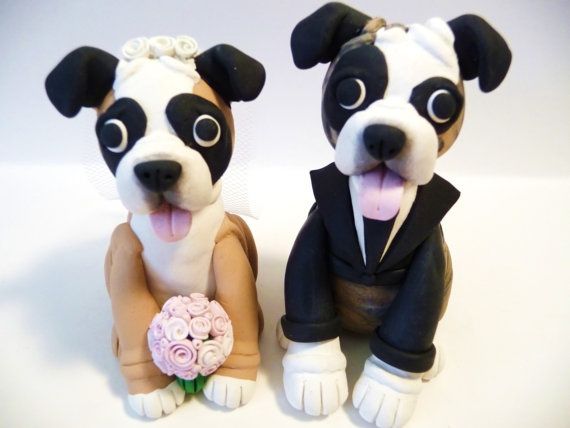 perritos novios