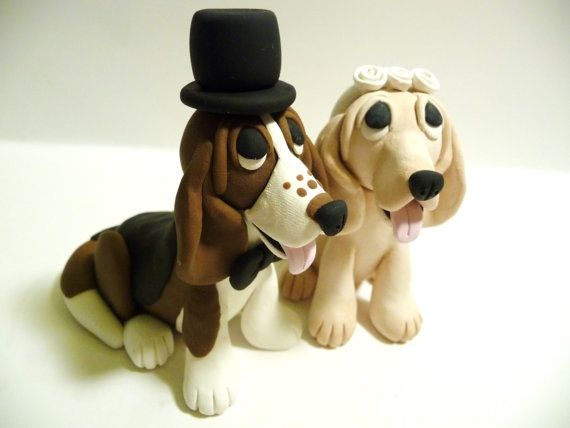 perritos novios