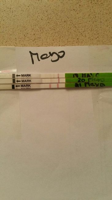nuevo buscadoras Mayo 2019 - 1