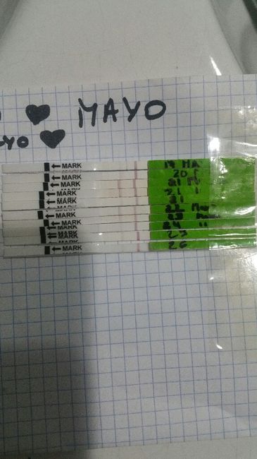 nuevo buscadoras Mayo 2019 1