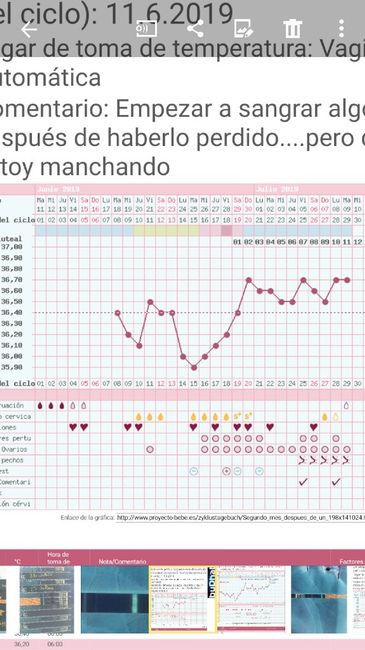 nuevo Buscadoras Julio 2019 1