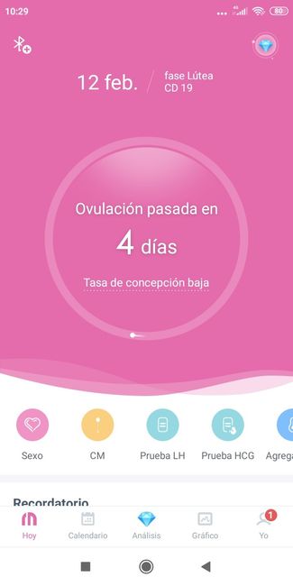 buscadoras febrero 2020 - 1