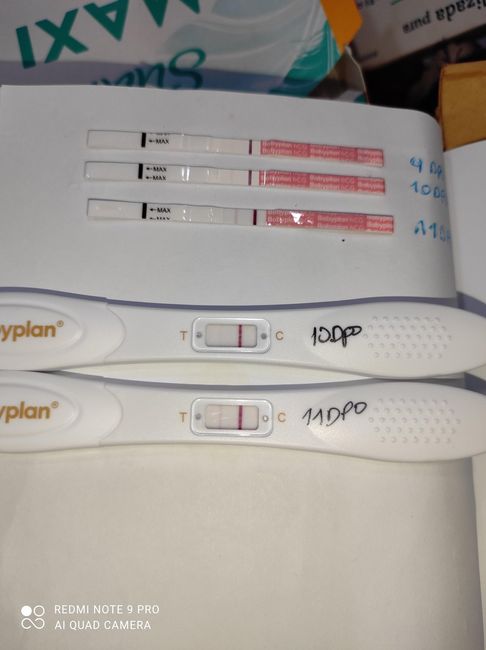 Futuras mamás Octubre 2022 🤰♥️ - 1