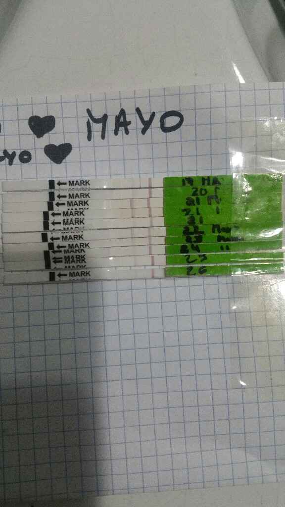 nuevo buscadoras Mayo 2019 - 1