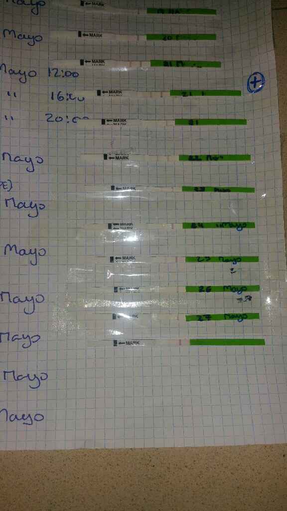 Gráficas de temperatura con positivo - 2