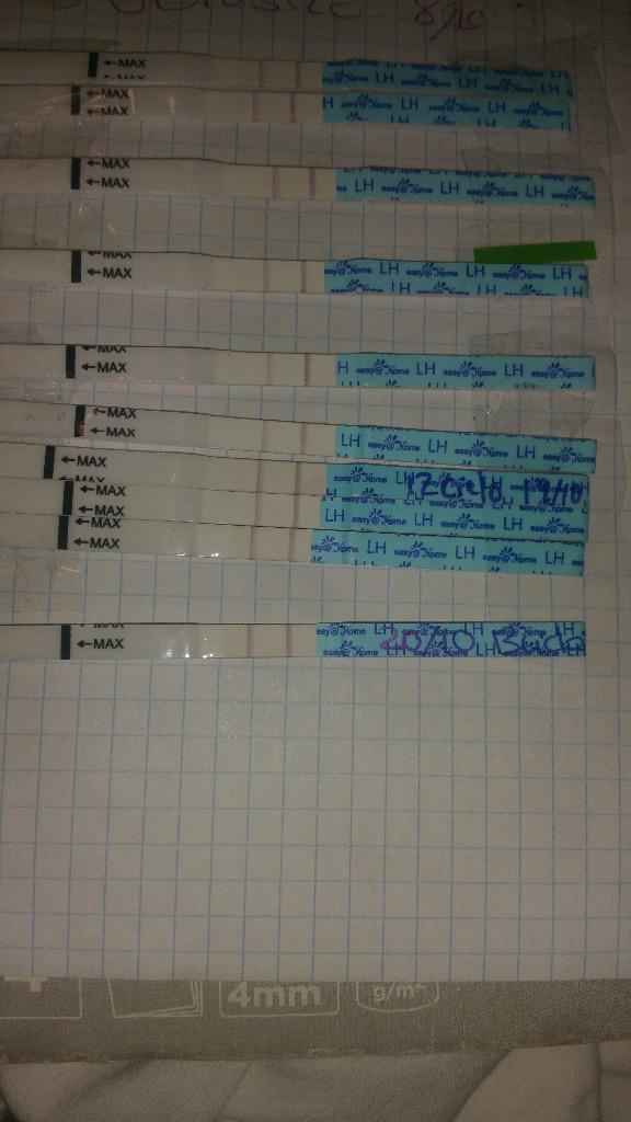 Y estos los de tira