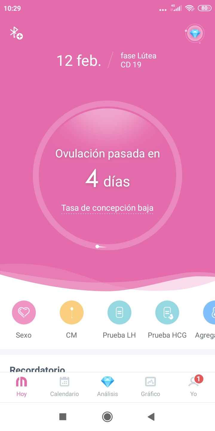 buscadoras febrero 2020 - 1
