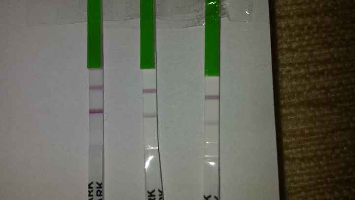 Test ovulacion