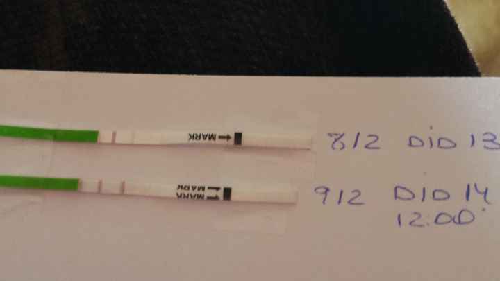 Test ovulacion