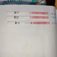 buscadoras de bebé arcoiris - 1