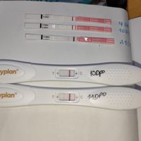 Futuras mamás Octubre 2022 🤰♥️ - 1