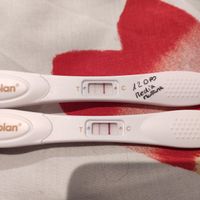 buscadoras febrero 2022 - 1