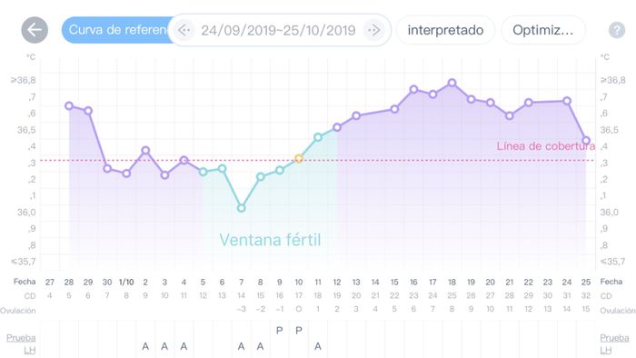 Buscadoras Noviembre 2019 2