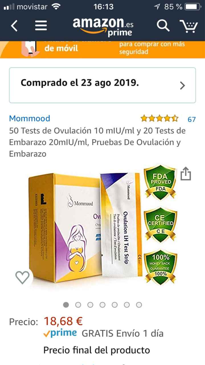 Buscadoras de Septiembre 2019 - 1