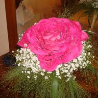 rosmelia