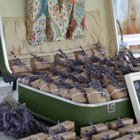 Lavanda detalles