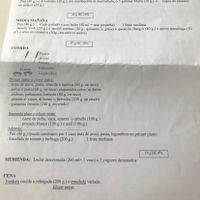Dietas en la diabetes gestacional - 1