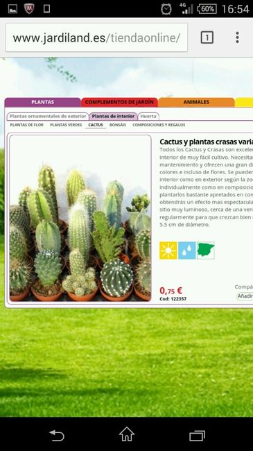 Donde puedo encontrar - 2